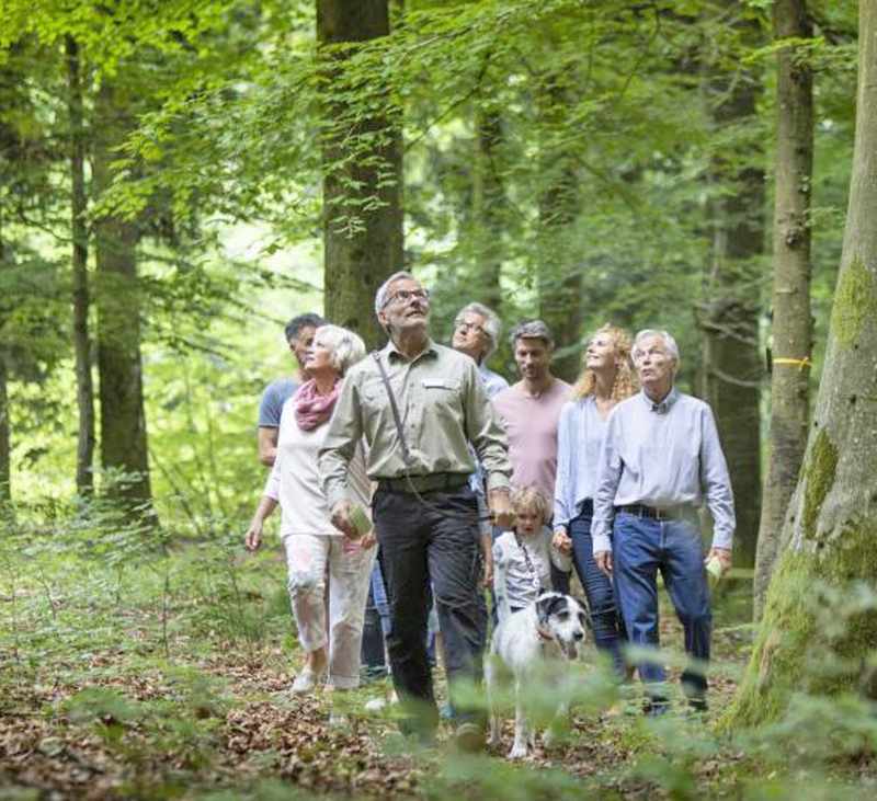 Führung durch den FriedWald Kamenz