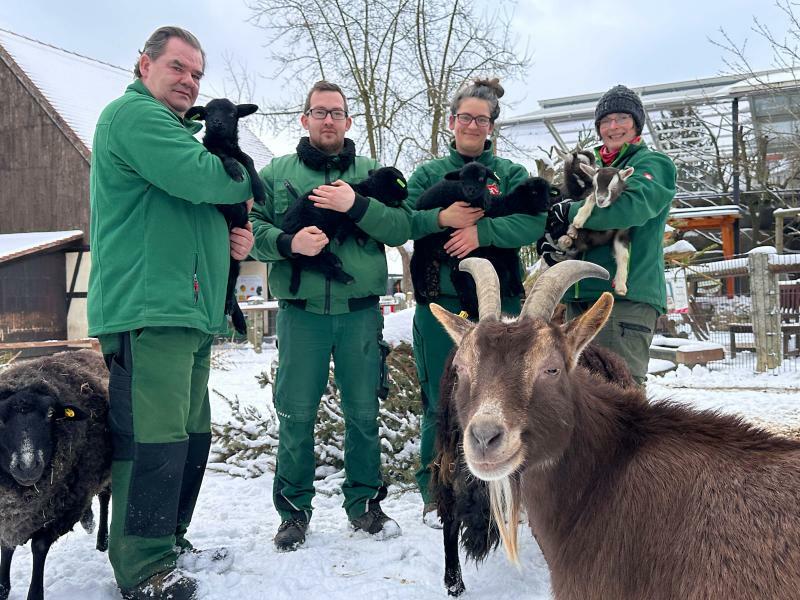 Heimische Tiere wie Exoten im Blick