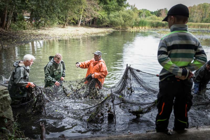 Im Spätsommer und Frühherbst wird der Fisch gefeiert