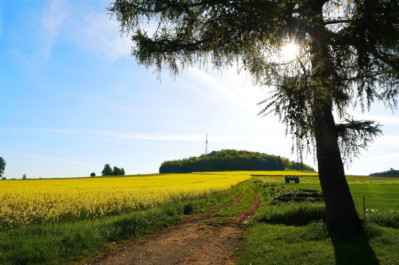 Eine Wanderung mit schönen Aussichten 