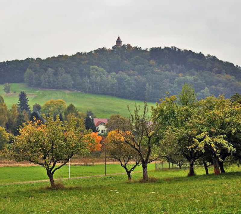 Eine Wanderung zum Burgsberg 