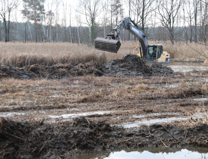 Schlamm raus, Vielfalt rein in den Froschteich