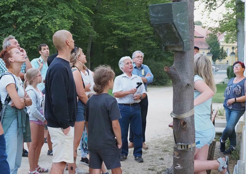 Erfolgreiche Nacht der Fledermäuse in Neschwitz