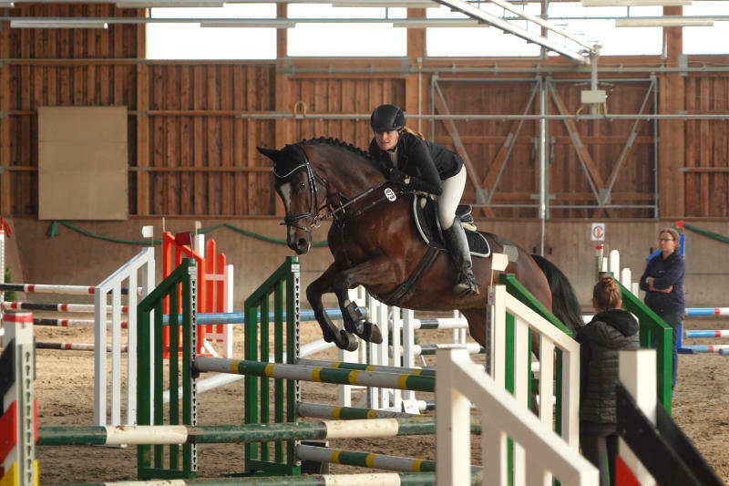 Pferdesportler wechseln von der Freiluft- zur Hallensaison