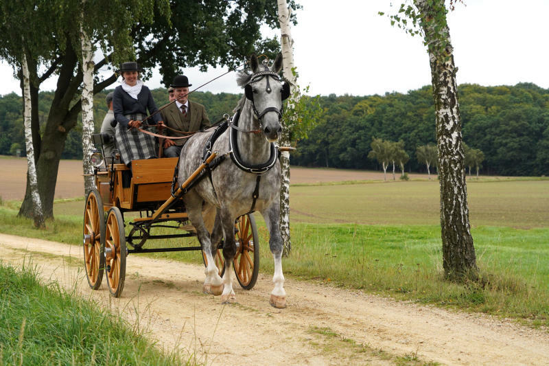 Niederschlesische Heiderundfahrt 2024 abgesagt