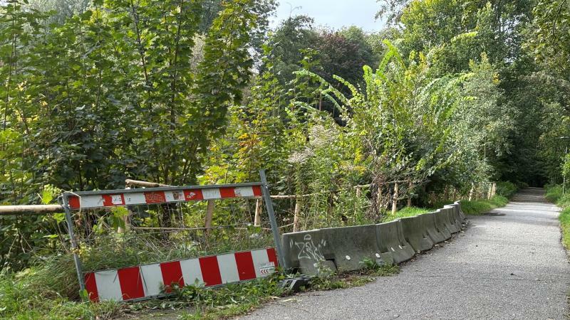 Sanierung an der  Neuschen Promenade in Bautzen