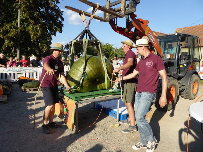 Lassen sich 738 Kilogramm in Ludwigsdorf toppen?