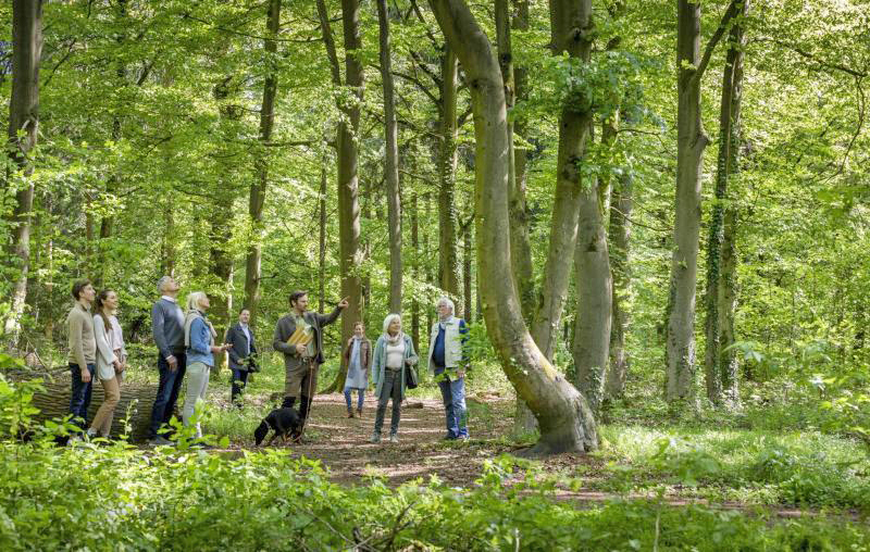 Spaziergang durch den FriedWald Markersdorf