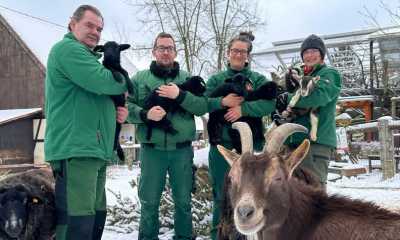 Heimische Tiere wie Exoten im Blick