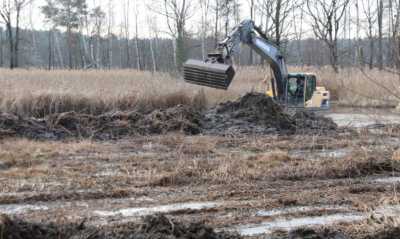 Schlamm raus, Vielfalt rein in den Froschteich