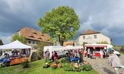 Beim Herbstmarkt über Gott und die Welt schwatzen