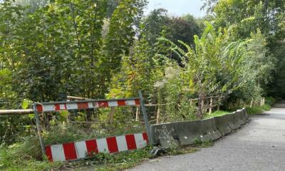 Sanierung an der  Neuschen Promenade in Bautzen